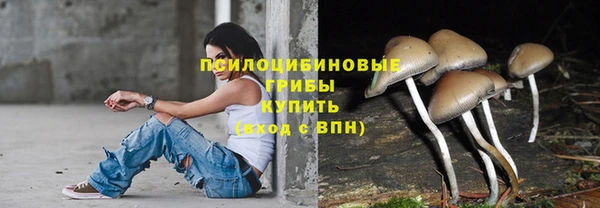 СК Белокуриха