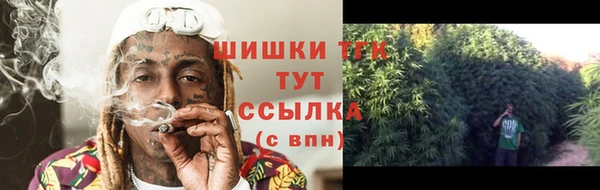 СК Белокуриха