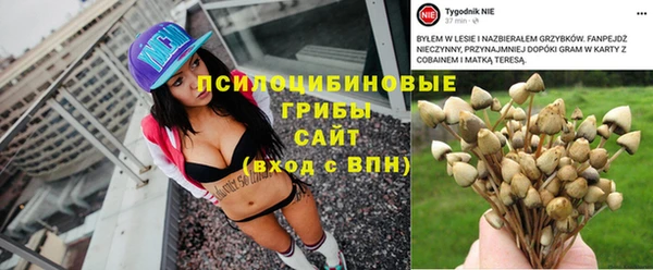 СК Белокуриха