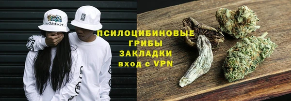 СК Белокуриха
