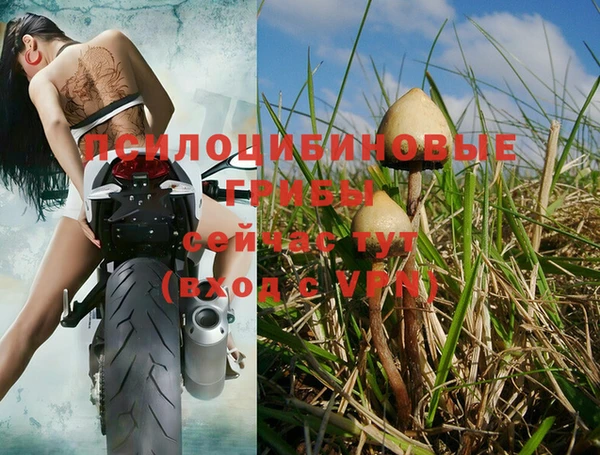 СК Белокуриха