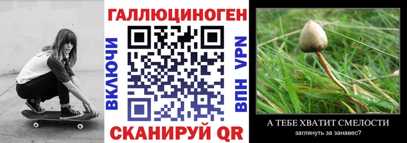 Галлюциногенные грибы Psilocybe  наркота  Куса 